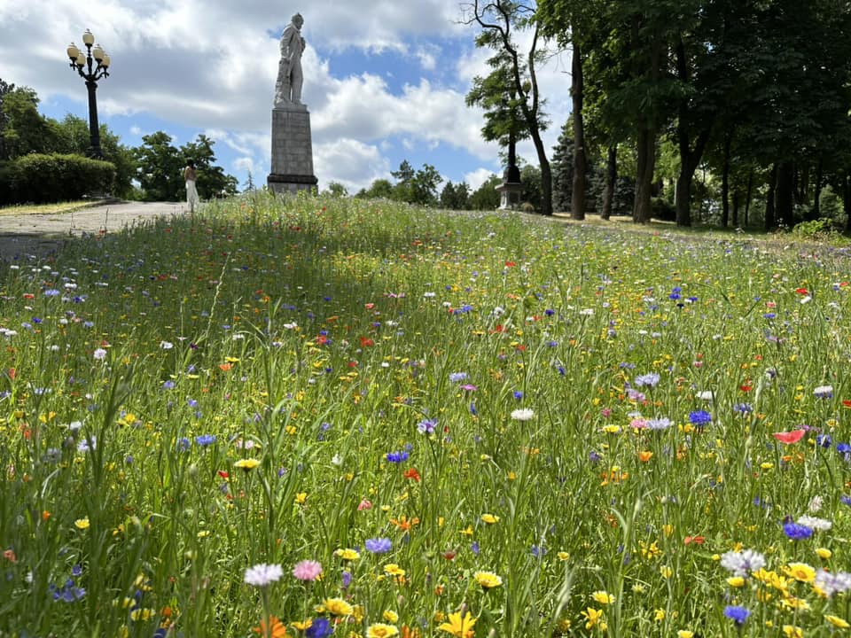 Парк Шевченко, мавританский газон