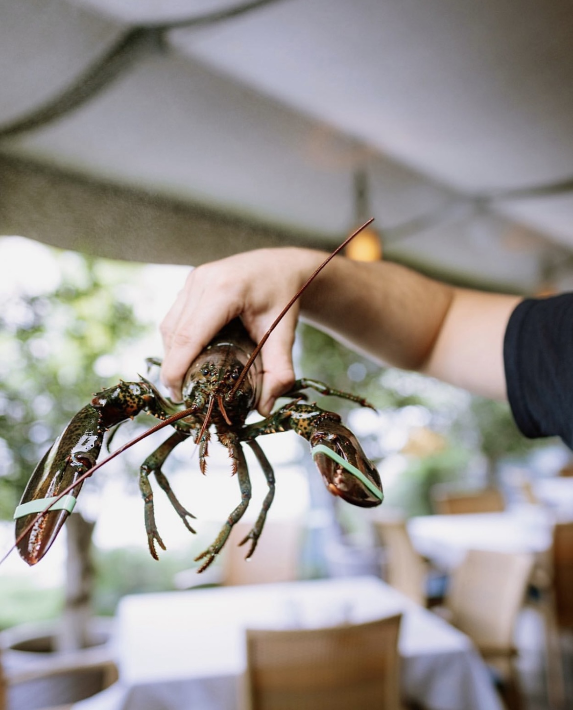 Ресторан Соул Фіш -