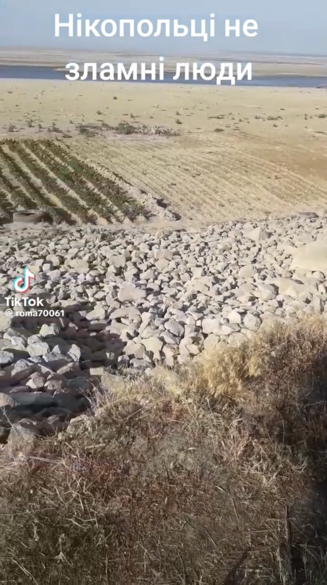 Скрін з Тік-Ток -