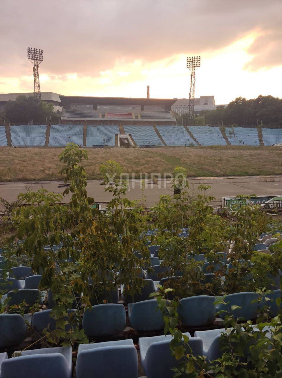 На трибуні стадіона "Метеор" в Дніпрі ростуть дерева - || фото: t.me/hyevuy_dnepr