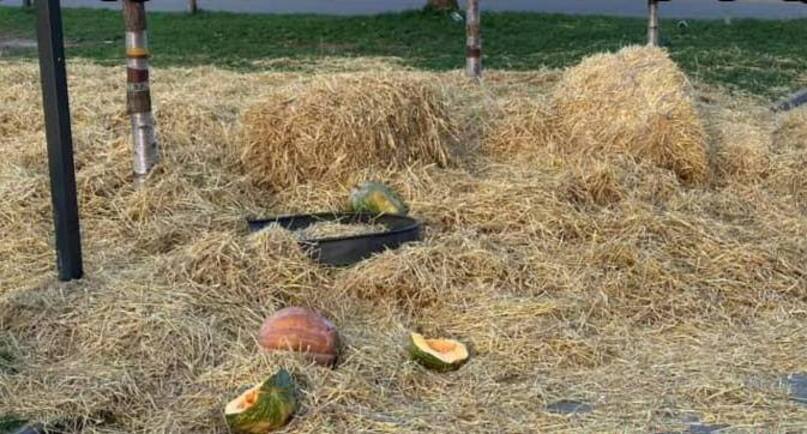 У Дніпрі містяни познущалися з фотозони у сквері Усачова -