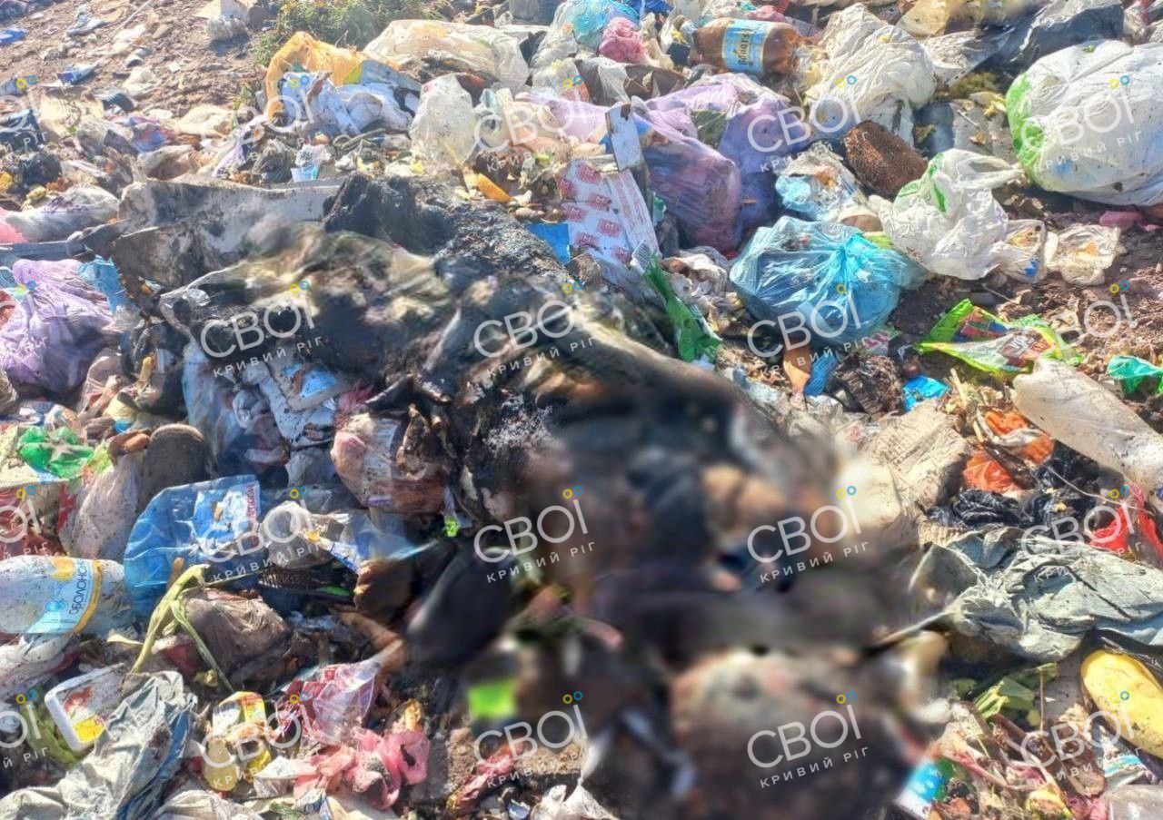 На сміттєзвалищі у Кривому Розі знайшли труп жінки - || фото: t.me/svoiKR
