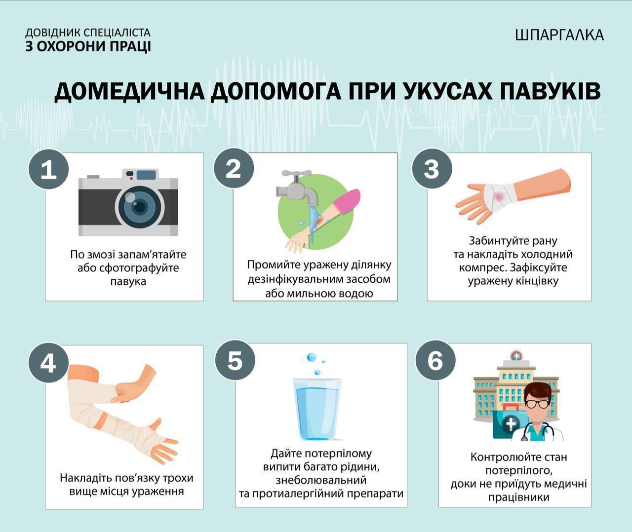 Отримай відповідь: що робити якщо вкусив павук фото 1