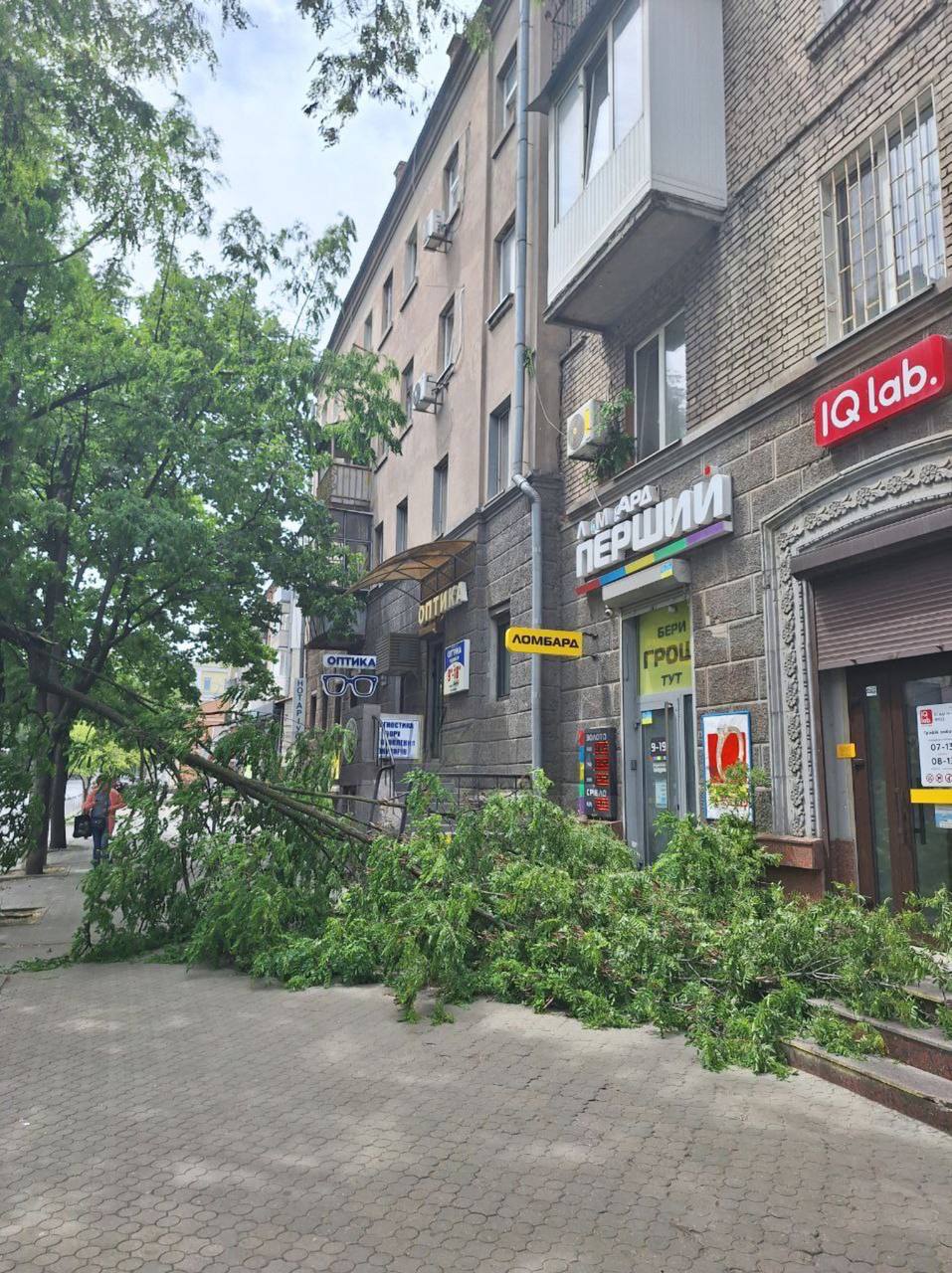 В Днепре шторм валит деревья: пострадали тротуары, детские площадки и автомобили фото 2 1