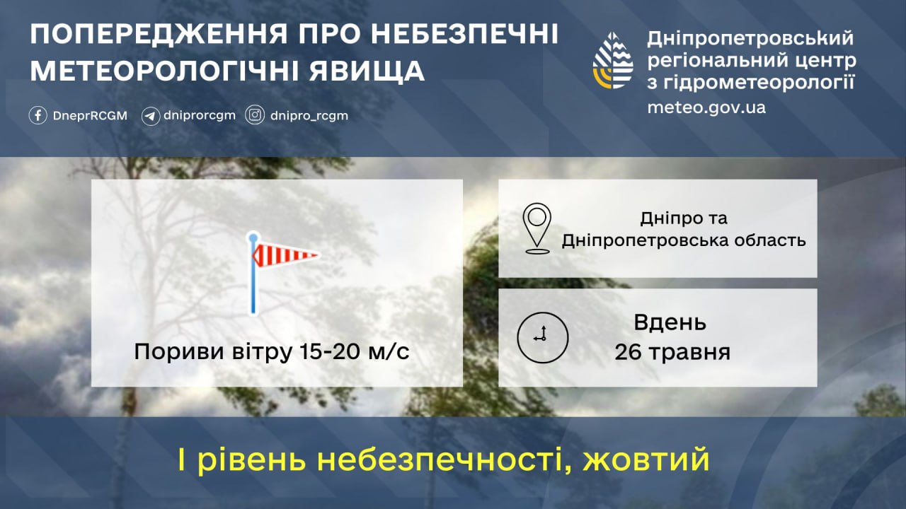 В Днепре шторм валит деревья: пострадали тротуары, детские площадки и автомобили фото 1
