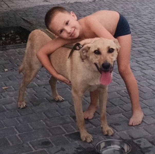 Пес, якого зрадили: історія про песика Тома, що живе у дніпровському притулку фото 2 1