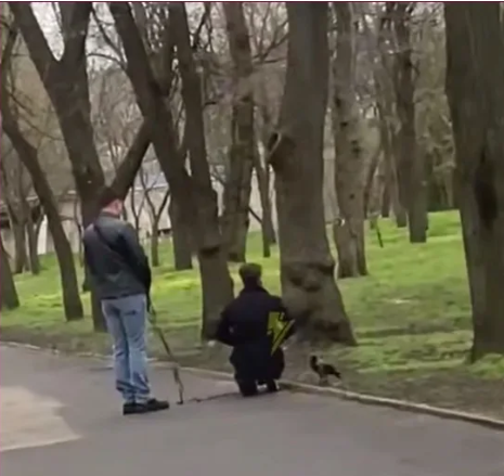 В Днепре на Левобережном-3 выгуливали курицу на поводке -