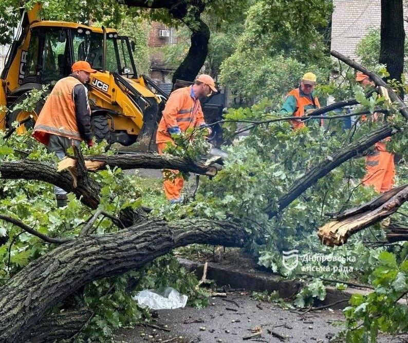 Поваленные деревья в Днепре.