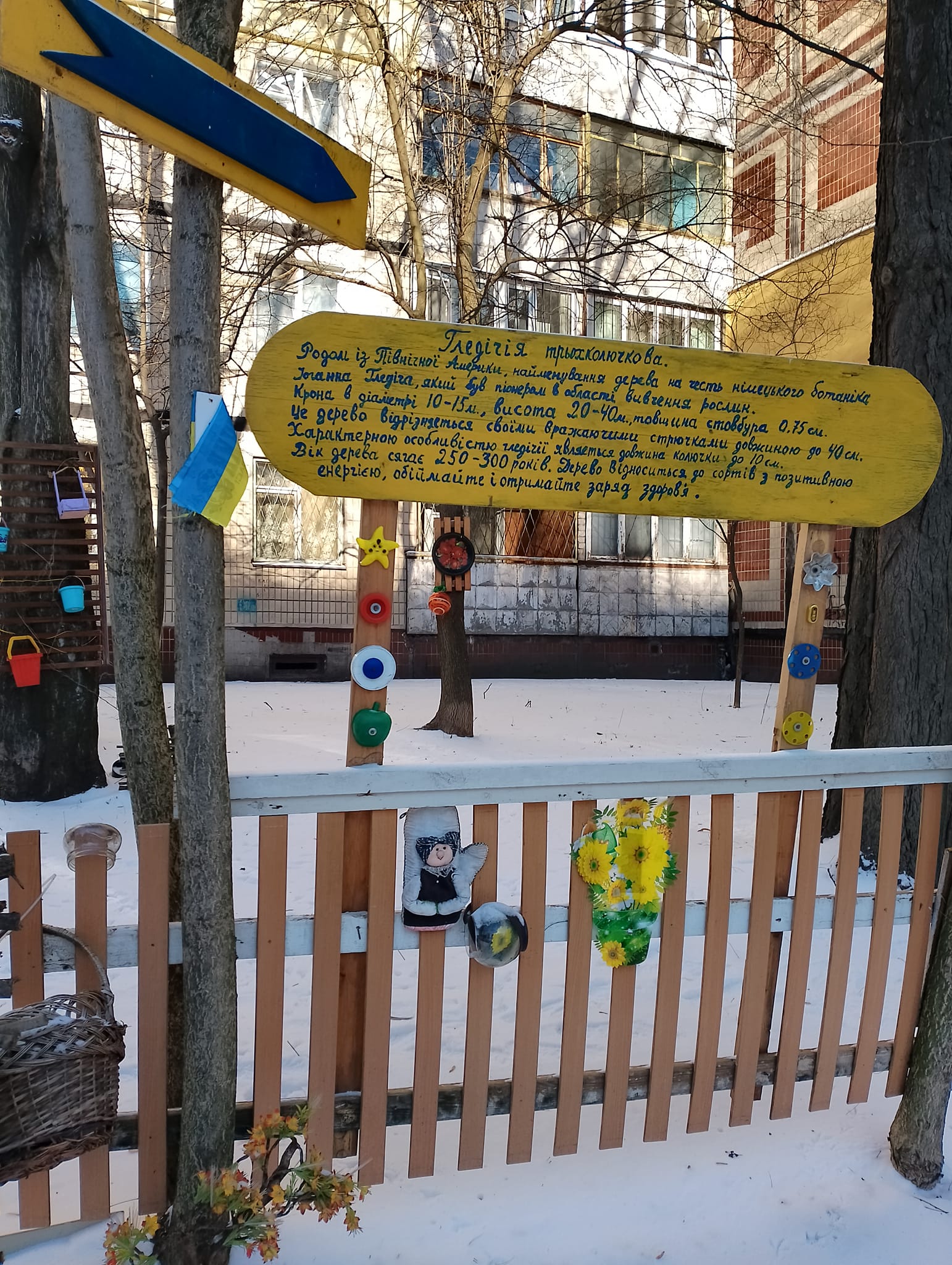 Дерево для обіймів: у Дніпрі жителі створили локацію для настрою