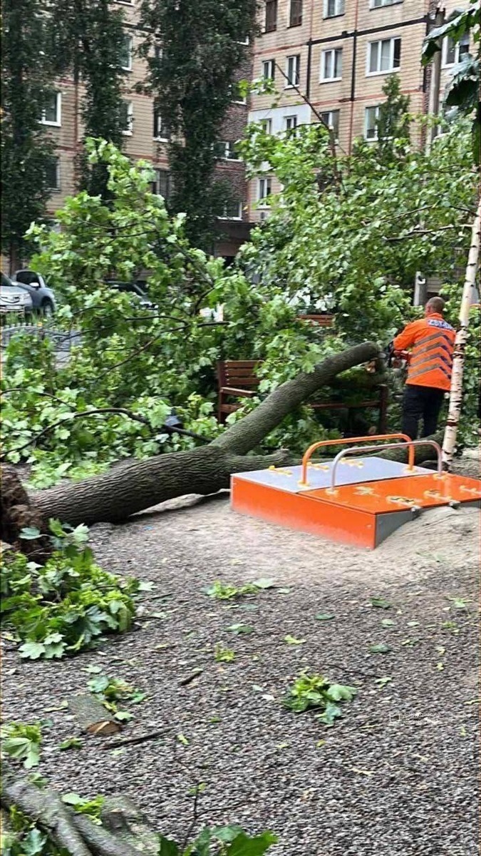 Комунальники ліквідували наслідки негоди у Дніпрі 5 липня