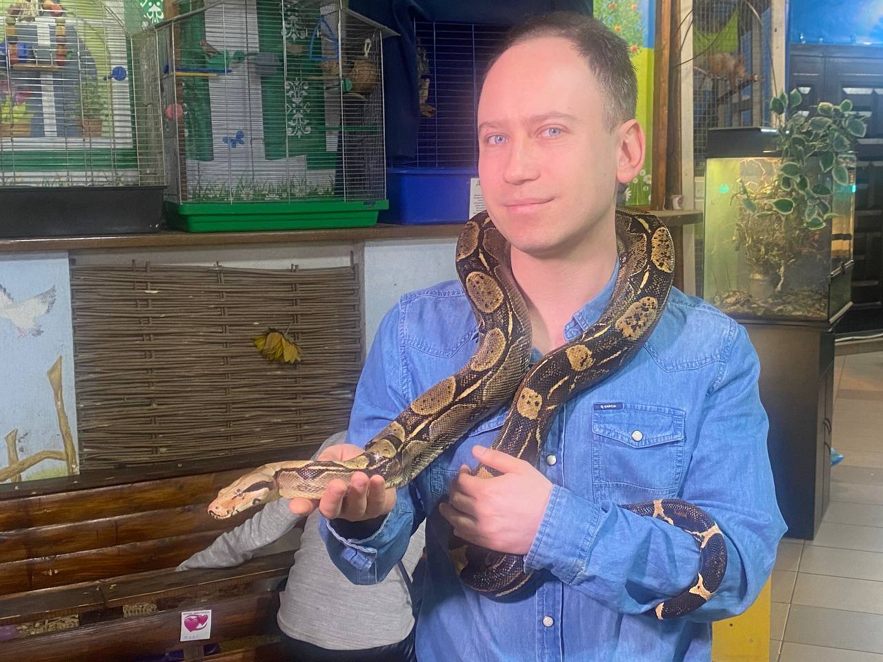 Военные привезли в Днепр императорского удава, заползшего к ним в окоп