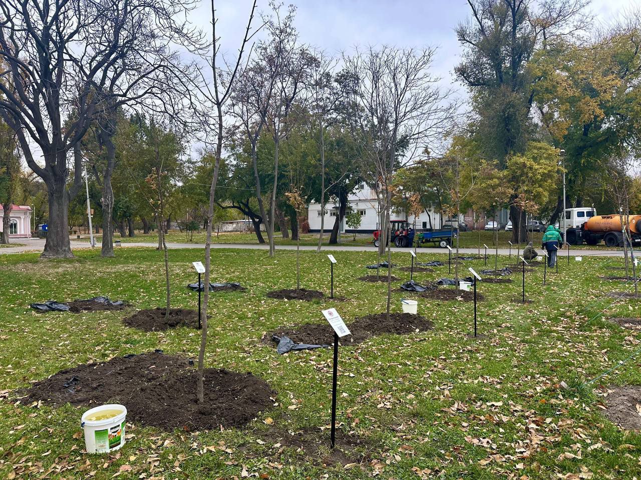У Дніпрі висадили дерева на честь загиблих військових