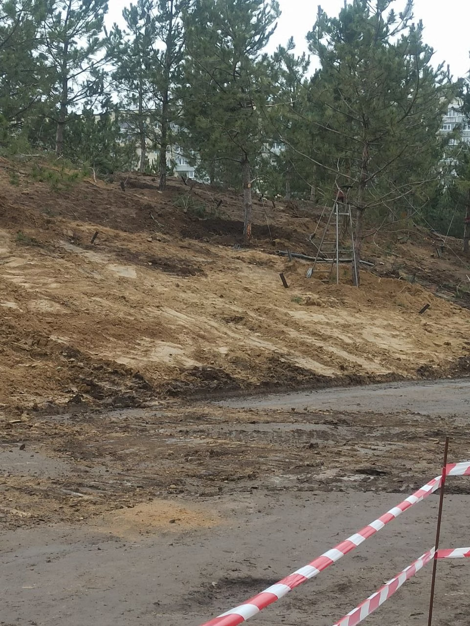 У Дніпрі на Перемозі встановлять підземні контейнери для сміття