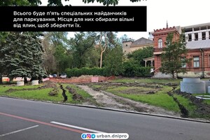 Начался ремонт на площади Шевченко: что собираются сделать фото 2
