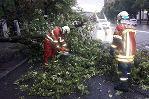 Последствия непогоды в Днепре: поваленные деревья, разбитые машины (фото) фото
