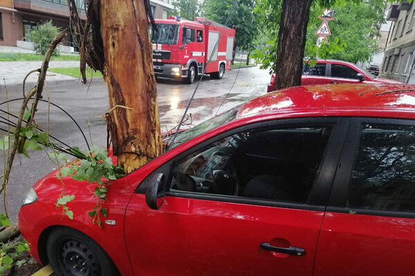 Последствия непогоды в Днепре: поваленные деревья, разбитые машины (фото) фото 6