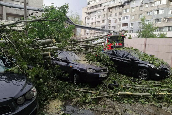 Последствия непогоды в Днепре: поваленные деревья, разбитые машины (фото) фото 17