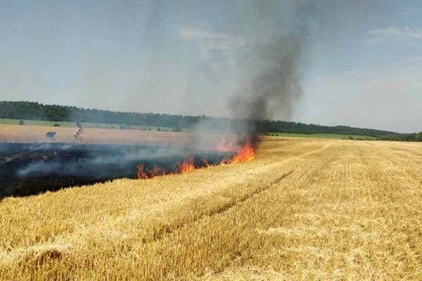 Виноваты люди: за сутки в Днепропетровской области сгорело 30 гектаров экосистем фото