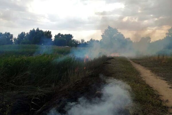 Виноваты люди: за сутки в Днепропетровской области сгорело 30 гектаров экосистем фото 1