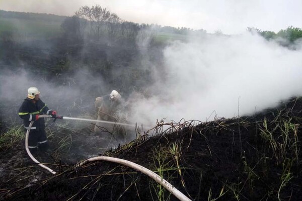 Виноваты люди: за сутки в Днепропетровской области сгорело 30 гектаров экосистем фото 2