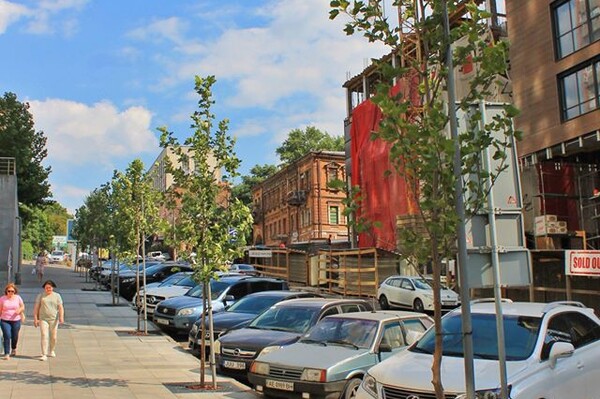 Больше зелени: на улице Шевченко высадили новые деревья фото 1