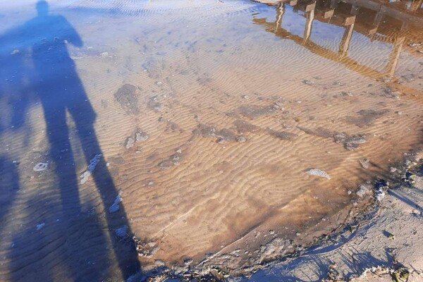 Голубые Озера на грани исчезновения: что происходит фото 3