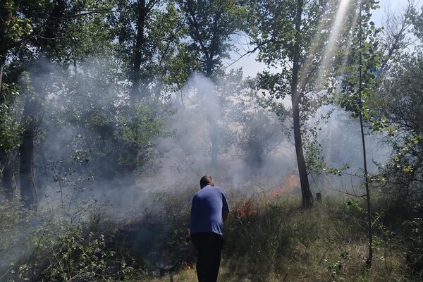 Тушили лопатами: на выходных горел Фрунзенский лес фото 3