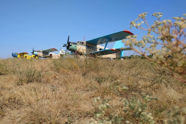 Над Одесской областью летали самолеты: они разбрасывали вакцину фото
