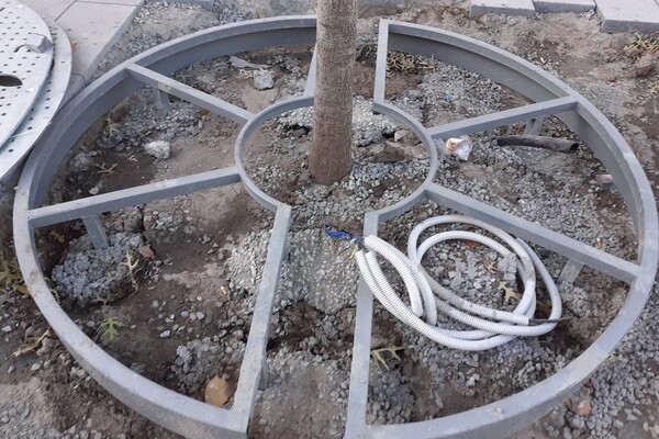 В бетон и щебень: как на Яворницкого высаживают деревья (фото) фото 5