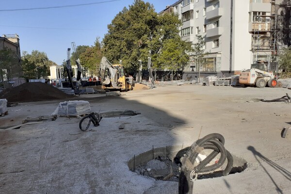 В бетон и щебень: как на Яворницкого высаживают деревья (фото) фото 8