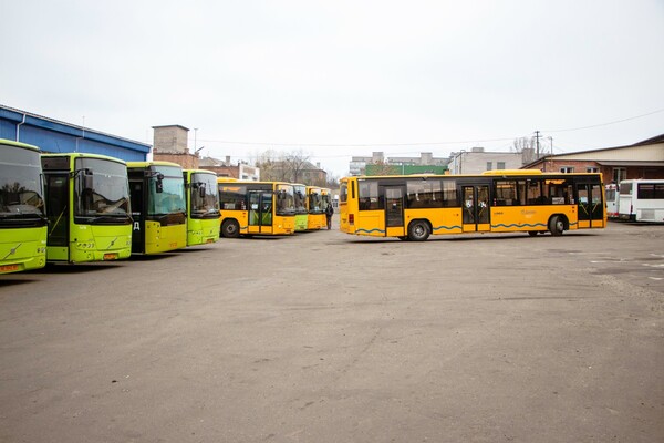 Доедем с комфортом: на какие маршруты выйдут новые большие автобусы фото 10