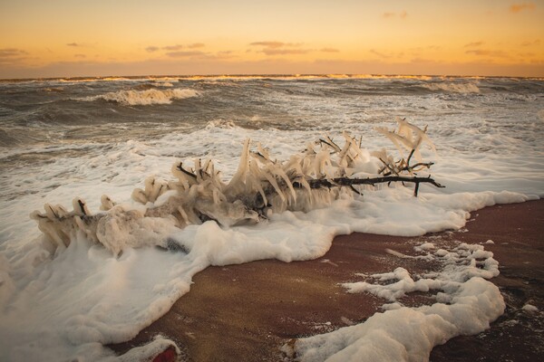Завораживающее зрелище: как выглядит замершее побережье Бердянска (фото) фото 10