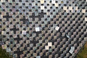 Отодрали пайетки: в парке Писаржевского изуродовали новые кубы фото