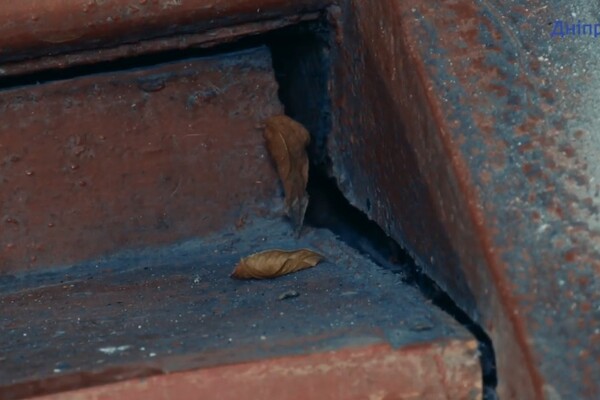 Стены рушатся, а в крыше дыры: как живут люди в последнем деревянном доме в Днепре фото 1
