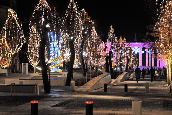 Вот так красота: улицы Короленко и Яворницкого украсили новогодними иллюминациями фото 3