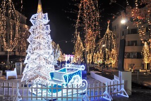 Вот так красота: улицы Короленко и Яворницкого украсили новогодними иллюминациями фото 6