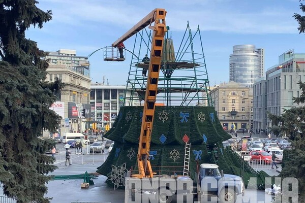 Прощай, красавица: в Днепре демонтировали новогоднюю елку фото 1