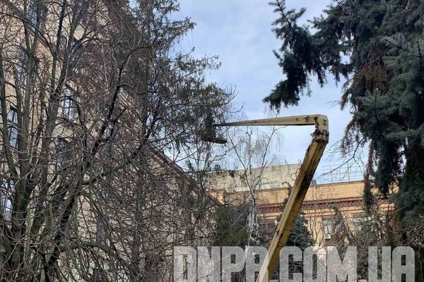 Прощай, красавица: в Днепре демонтировали новогоднюю елку фото 5