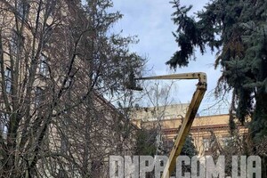 Прощай, красавица: в Днепре демонтировали новогоднюю елку фото 5