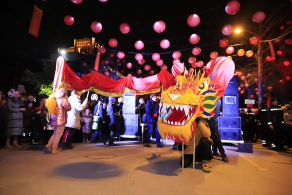 У Дніпрі вперше масштабно відсвяткували Китайський Новий рік: як це було  фото 3