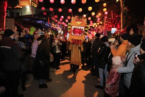 У Дніпрі вперше масштабно відсвяткували Китайський Новий рік: як це було  фото 11